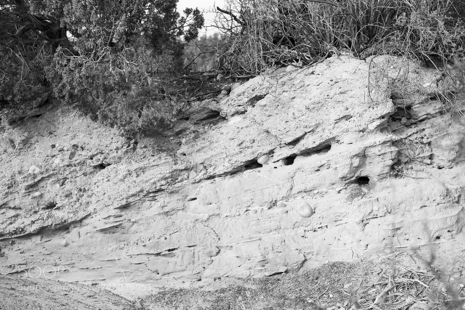 Nikon D810 sample photo. Desert bw 7 photography