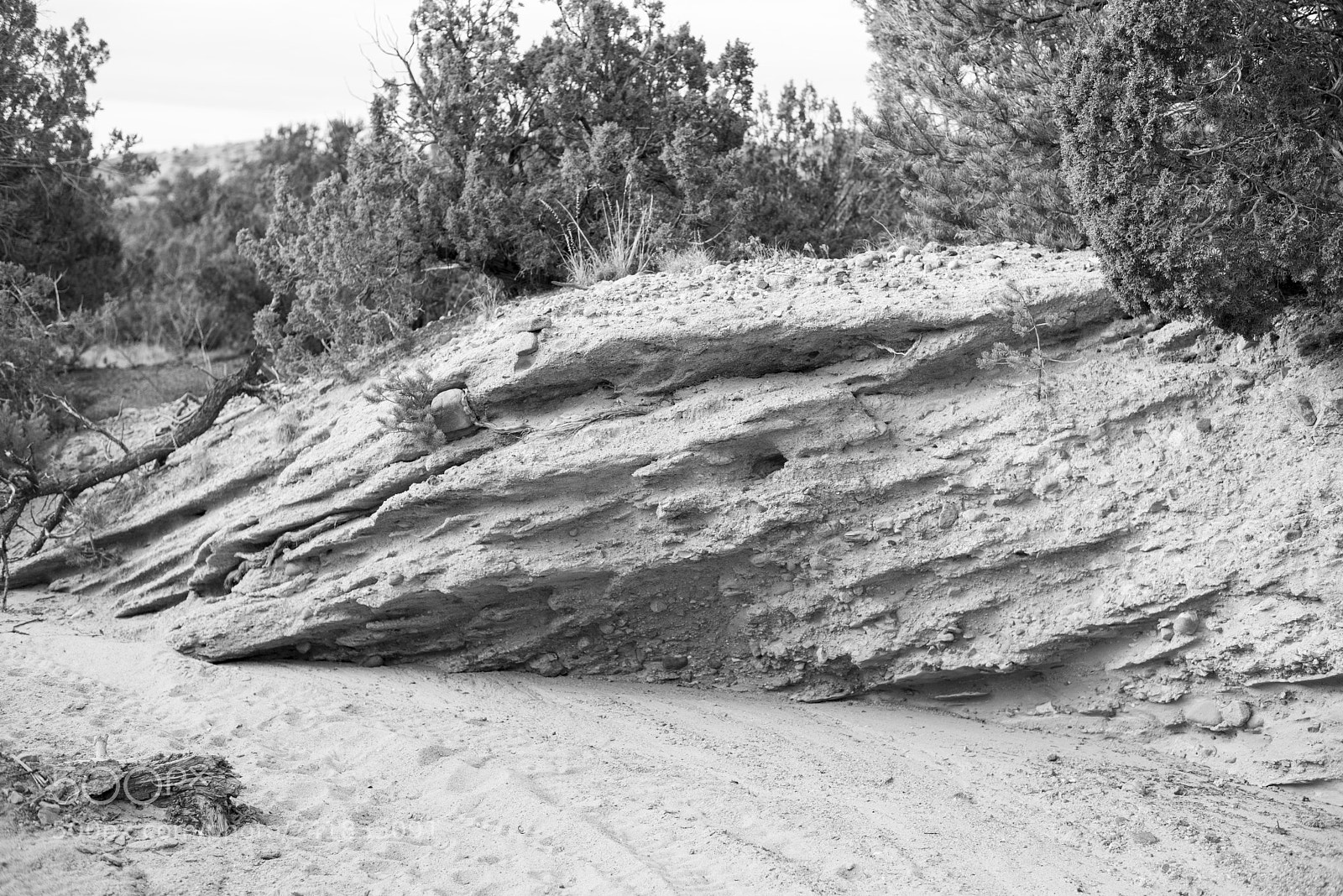 Nikon D810 sample photo. Desert bw 3 photography