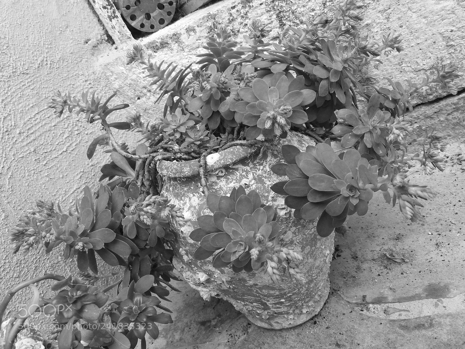Samsung Galaxy J5(2016) sample photo. Black n white photography