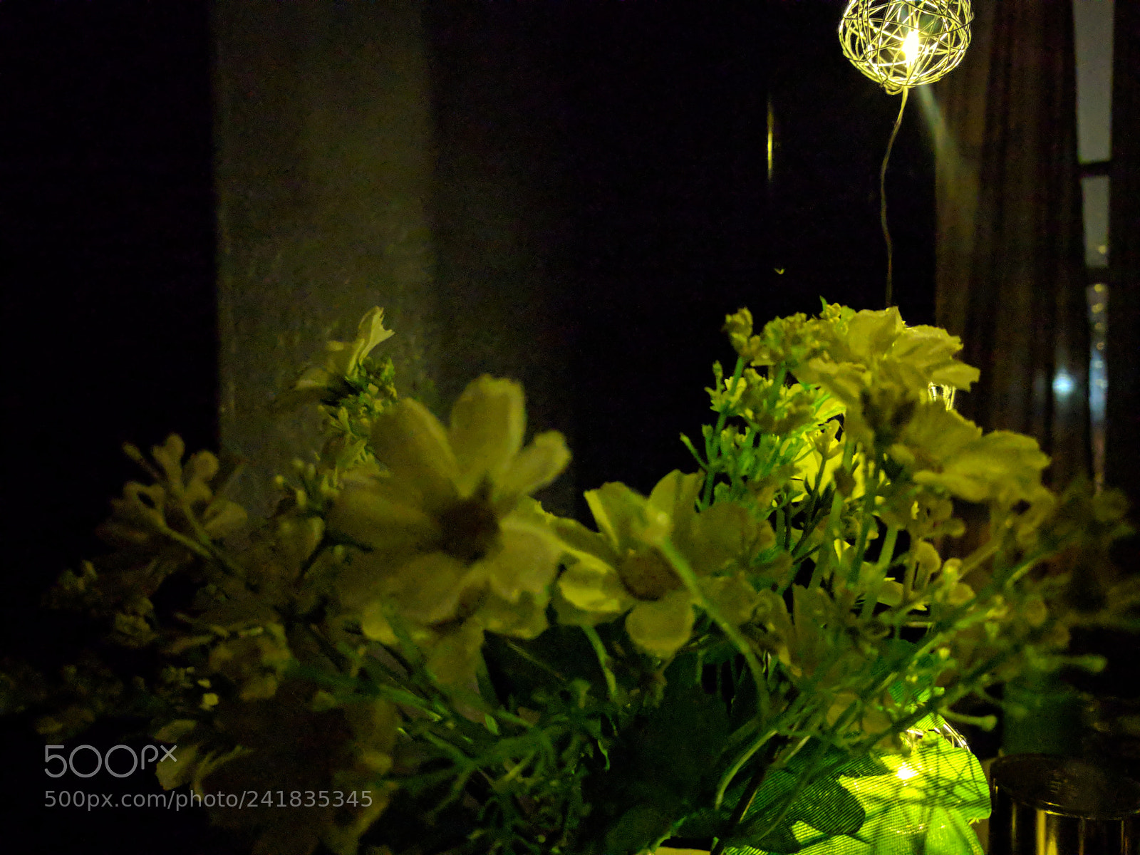 LG Nexus 5X sample photo. Flower, gleam and glow photography
