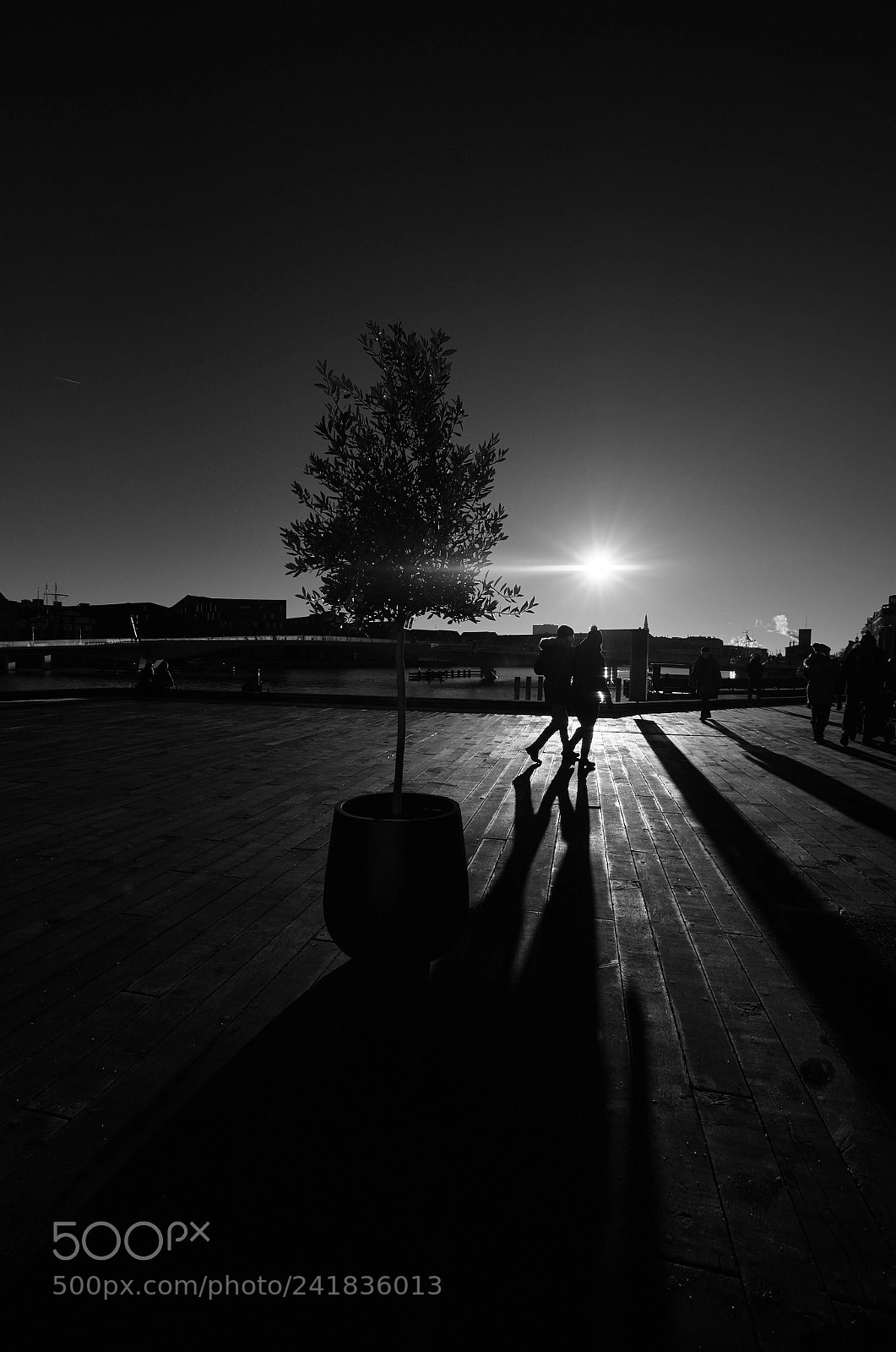 Fujifilm X-T2 sample photo. Sunset walk photography