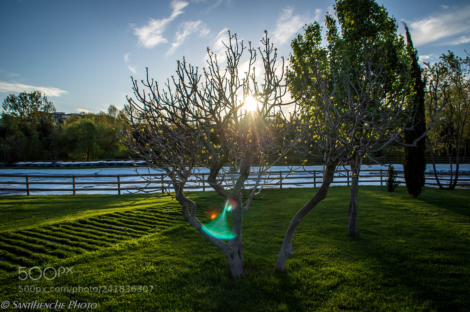 Sony Alpha DSLR-A580 sample photo. Atardecer en parque europa photography