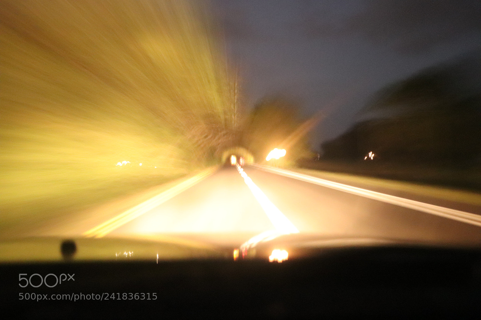 Canon EOS 77D (EOS 9000D / EOS 770D) sample photo. Nocturnal silhouettes on the photography