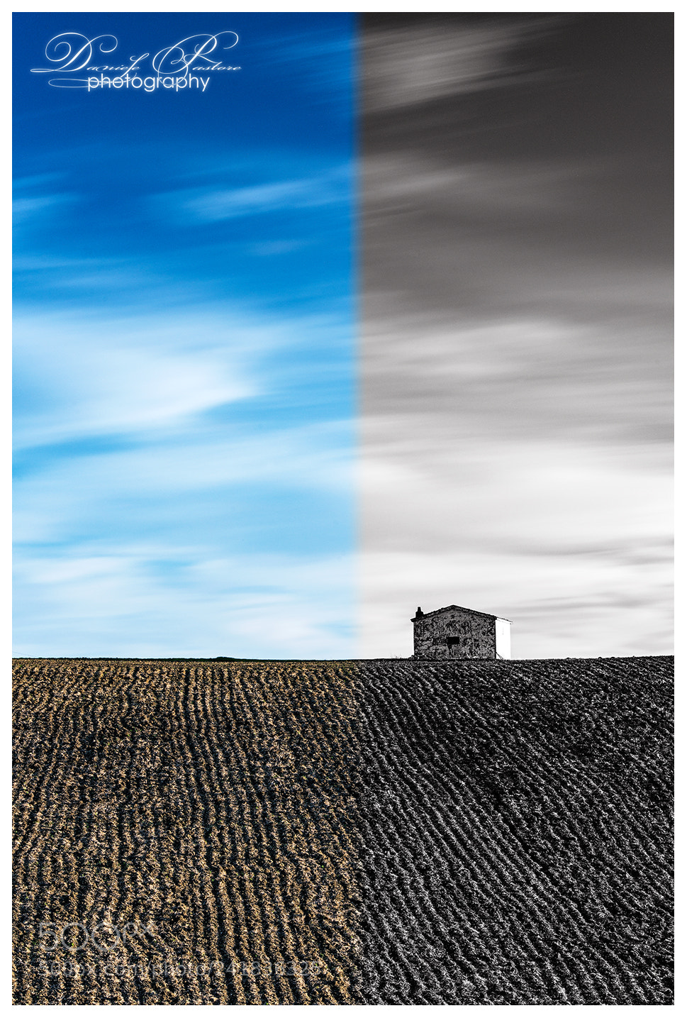 Nikon D800 sample photo. Color vs black&white photography