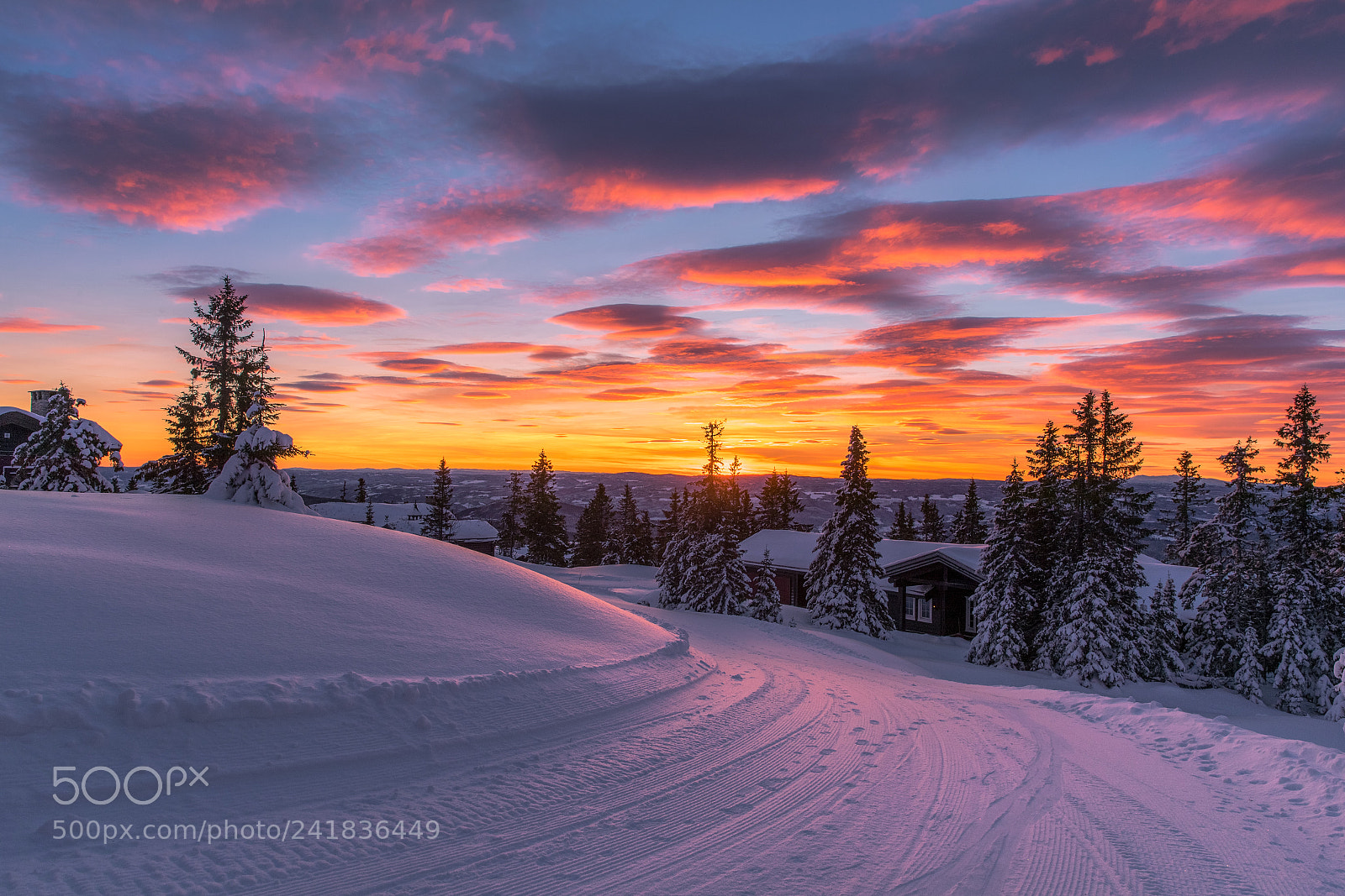 Canon EOS-1D X Mark II sample photo. Comming home from skiing photography