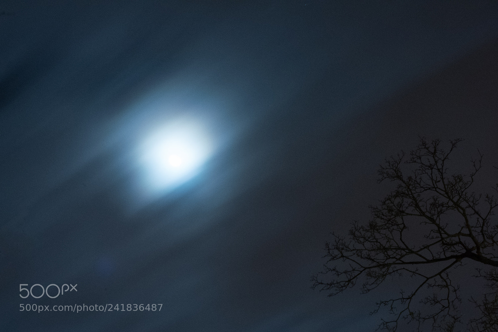 Nikon D810 sample photo. Landskype. photography