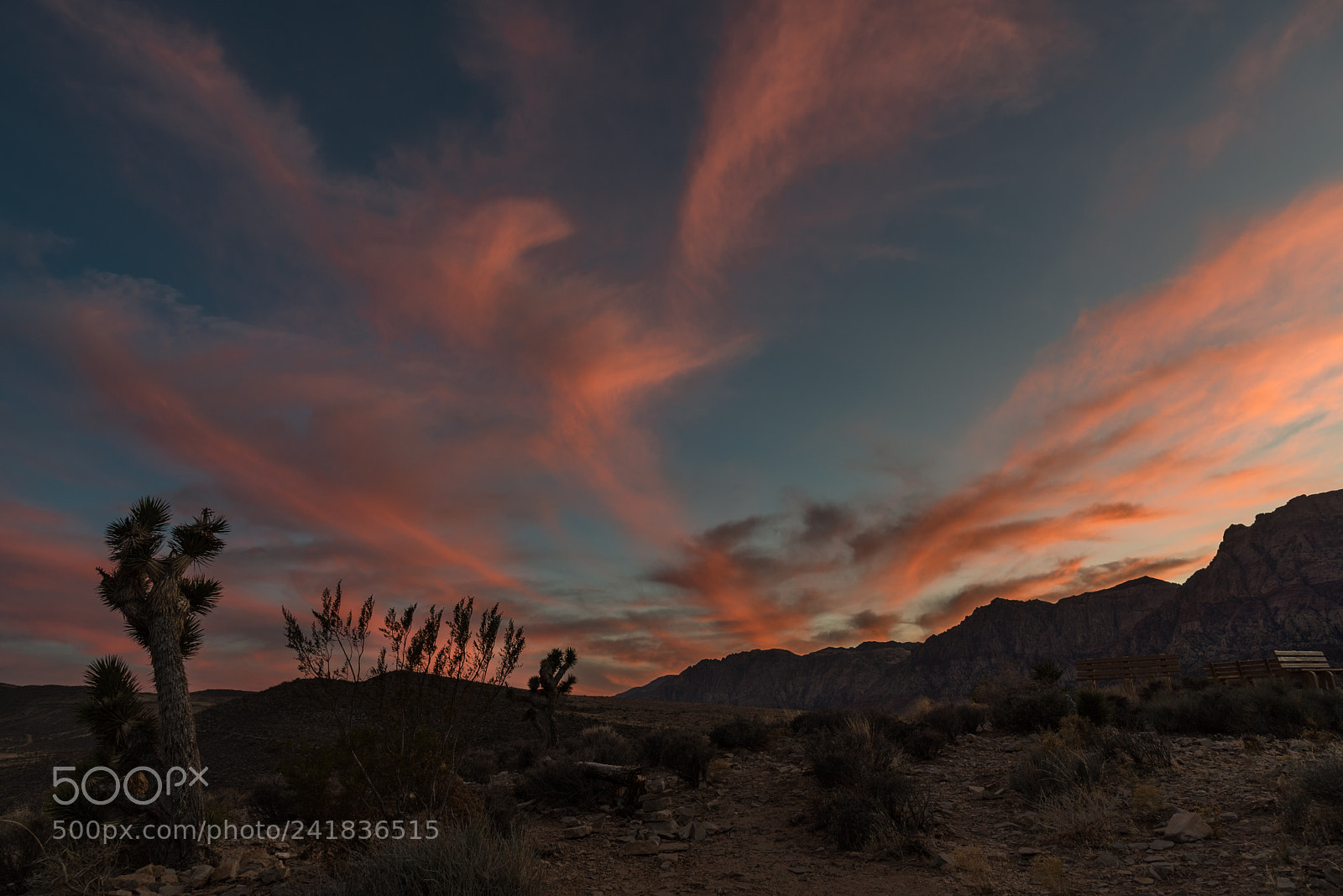 Nikon D750 sample photo. Desert sunset rising phoenix photography