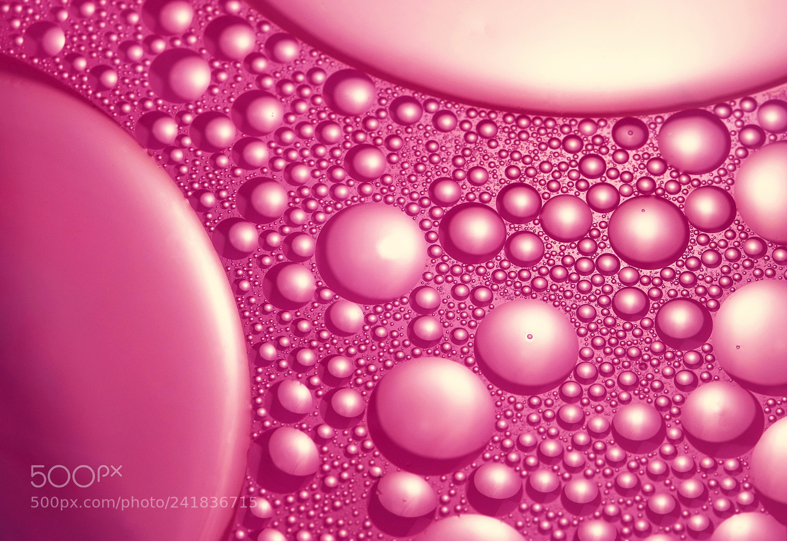Nikon D5500 sample photo. Abstract pink oil balls photography