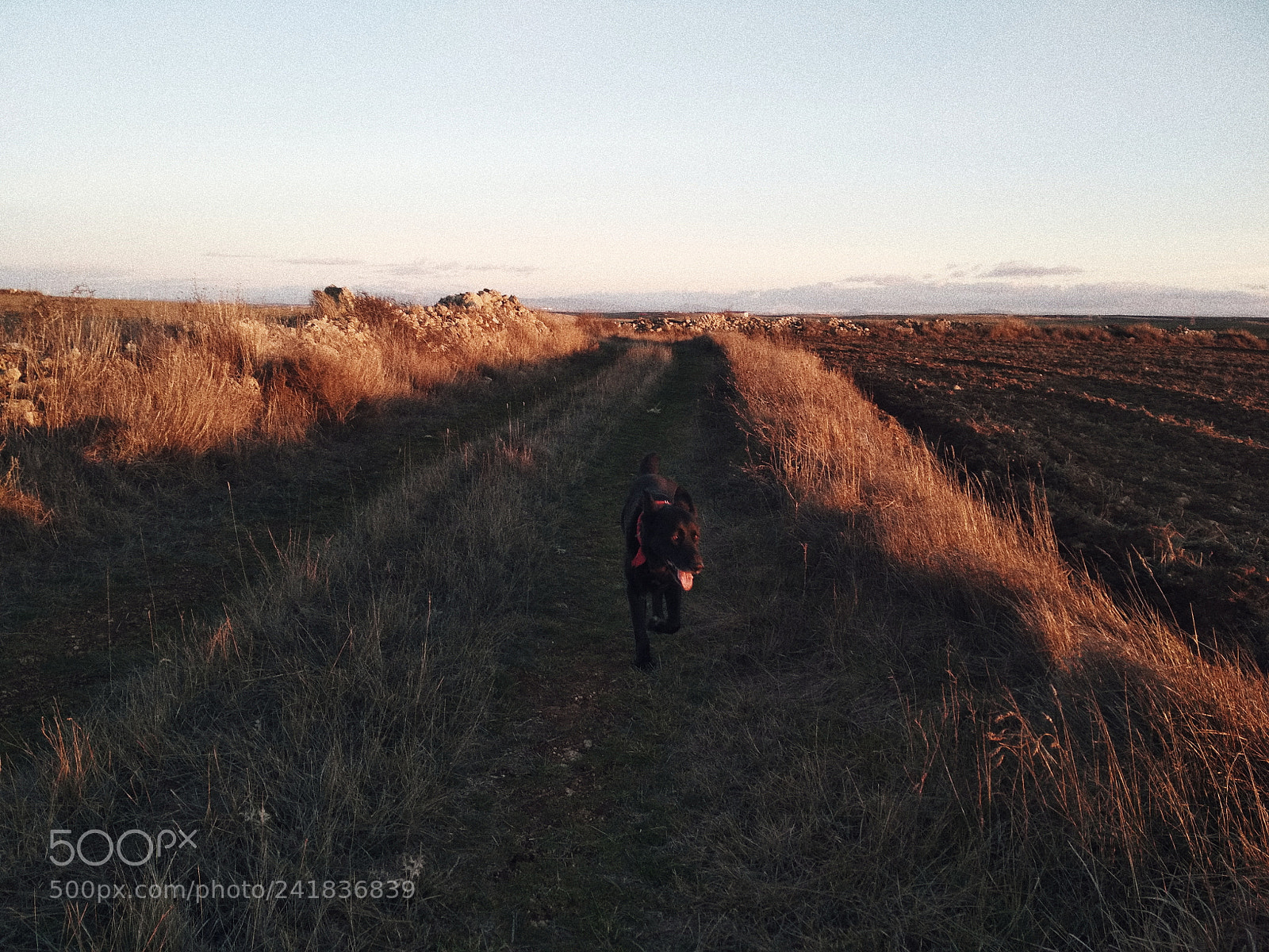 Xiaomi Redmi 4X sample photo. Winter sunset photography