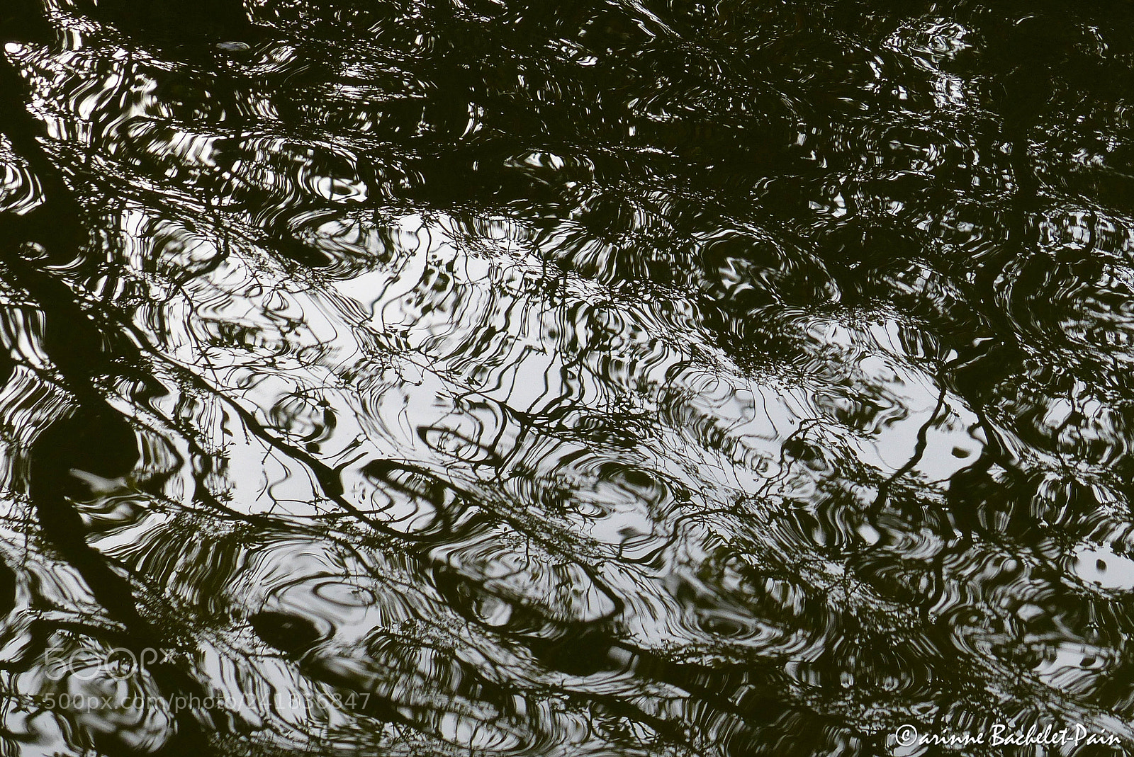 Panasonic Lumix DMC-FZ200 sample photo. Reflets tumultueux photography