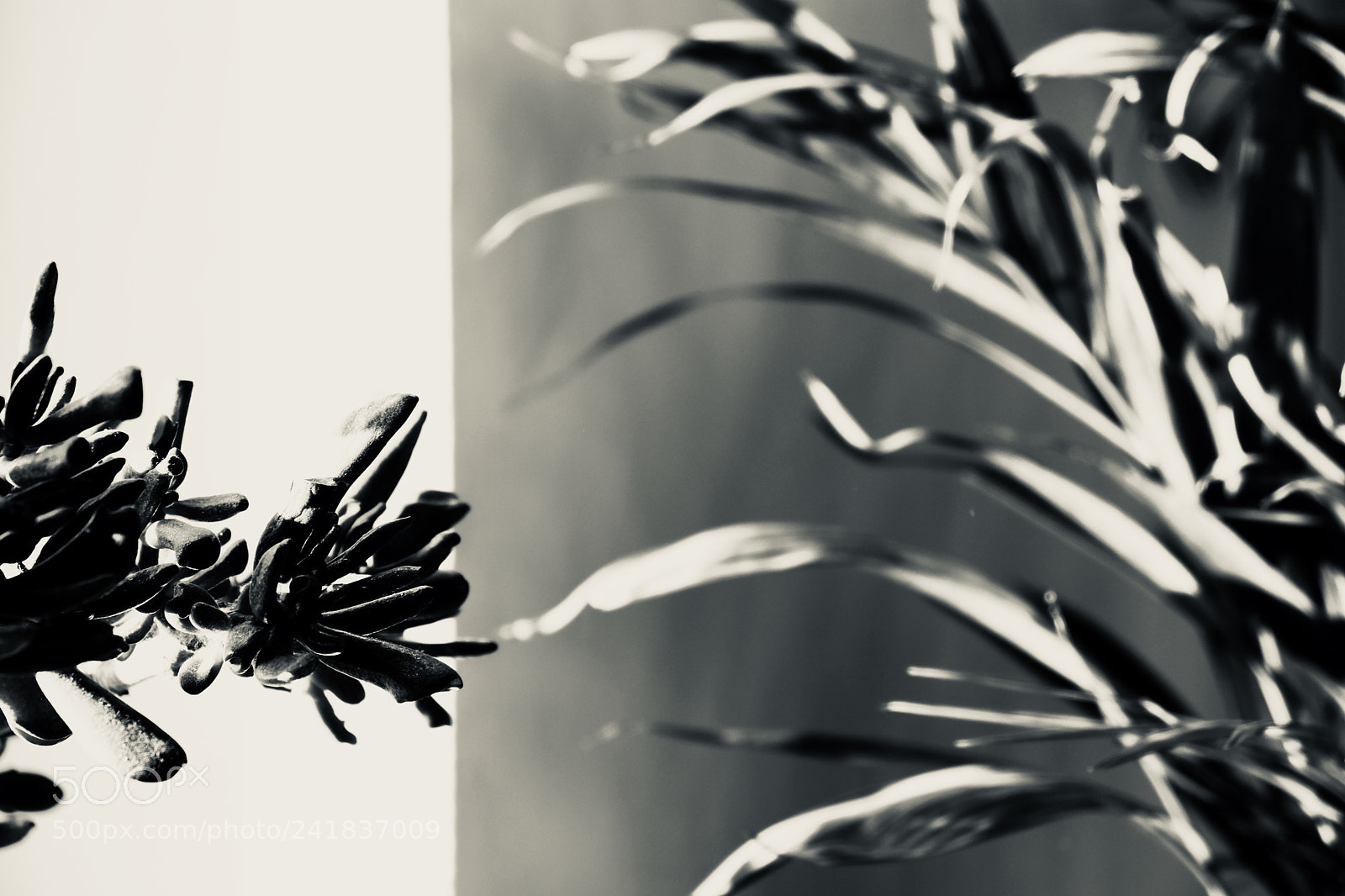 Fujifilm X-E3 sample photo. Untitled photography