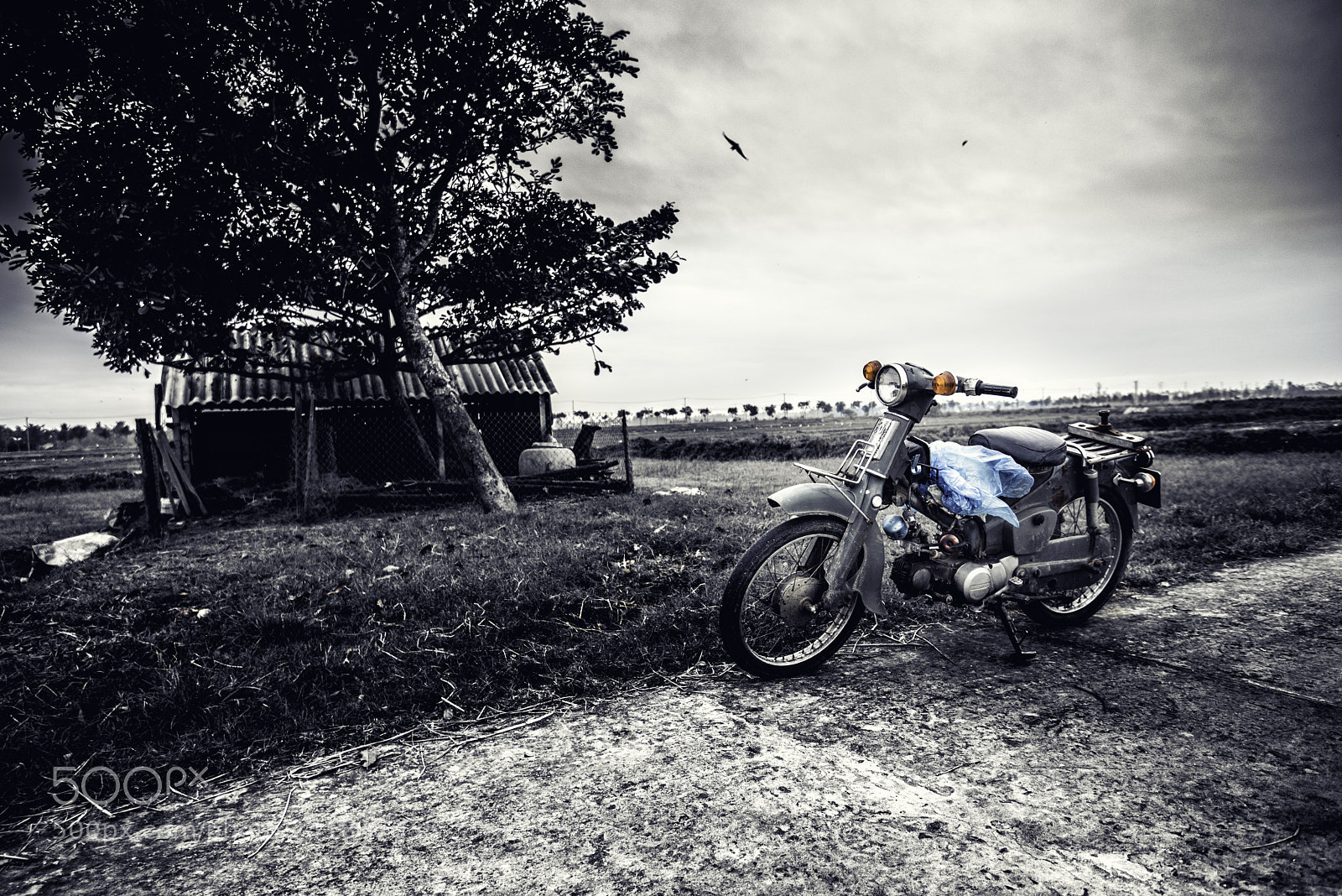 Nikon D810 sample photo. Bike in the field photography