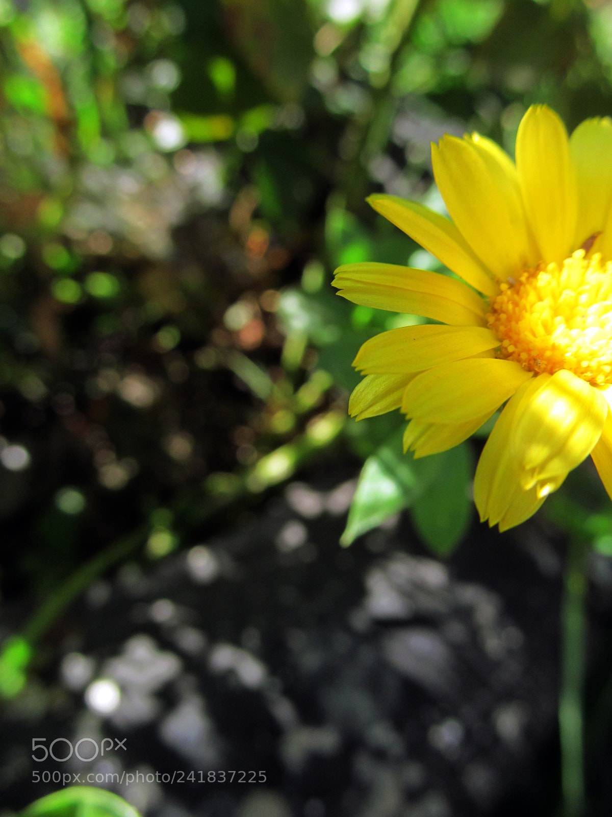 Canon PowerShot SX150 IS sample photo. 21288998009.jpg photography