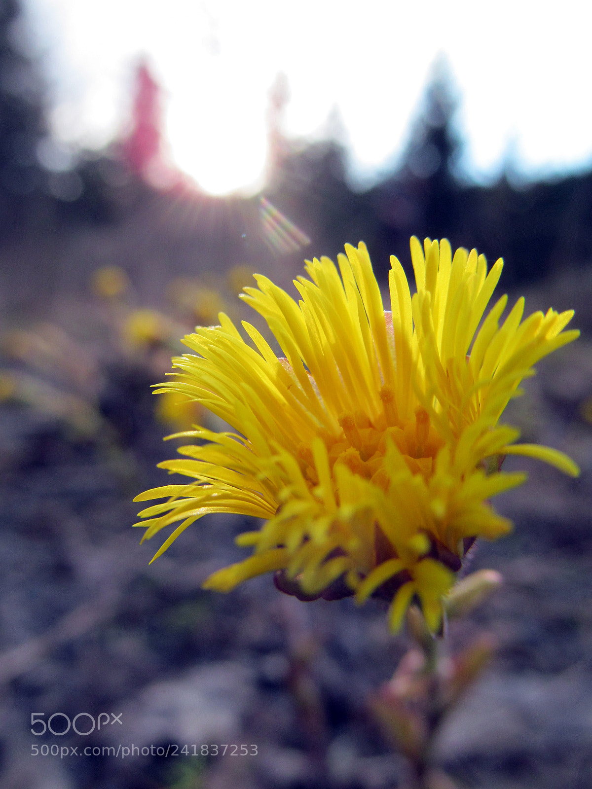 Canon PowerShot SX150 IS sample photo. 17591354838.jpg photography