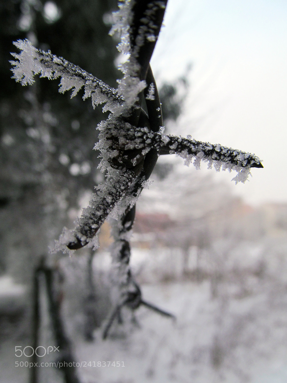 Canon PowerShot SX150 IS sample photo. 16042723795.jpg photography