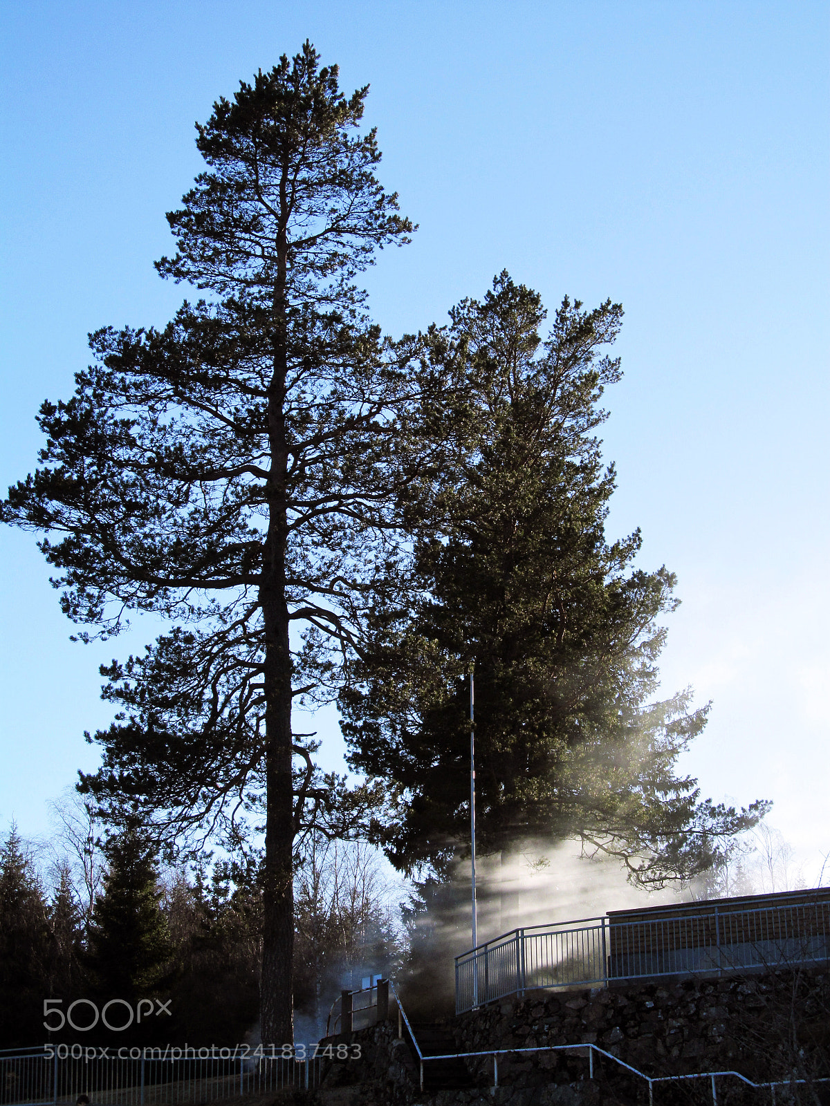 Canon PowerShot SX150 IS sample photo. 15418369903.jpg photography