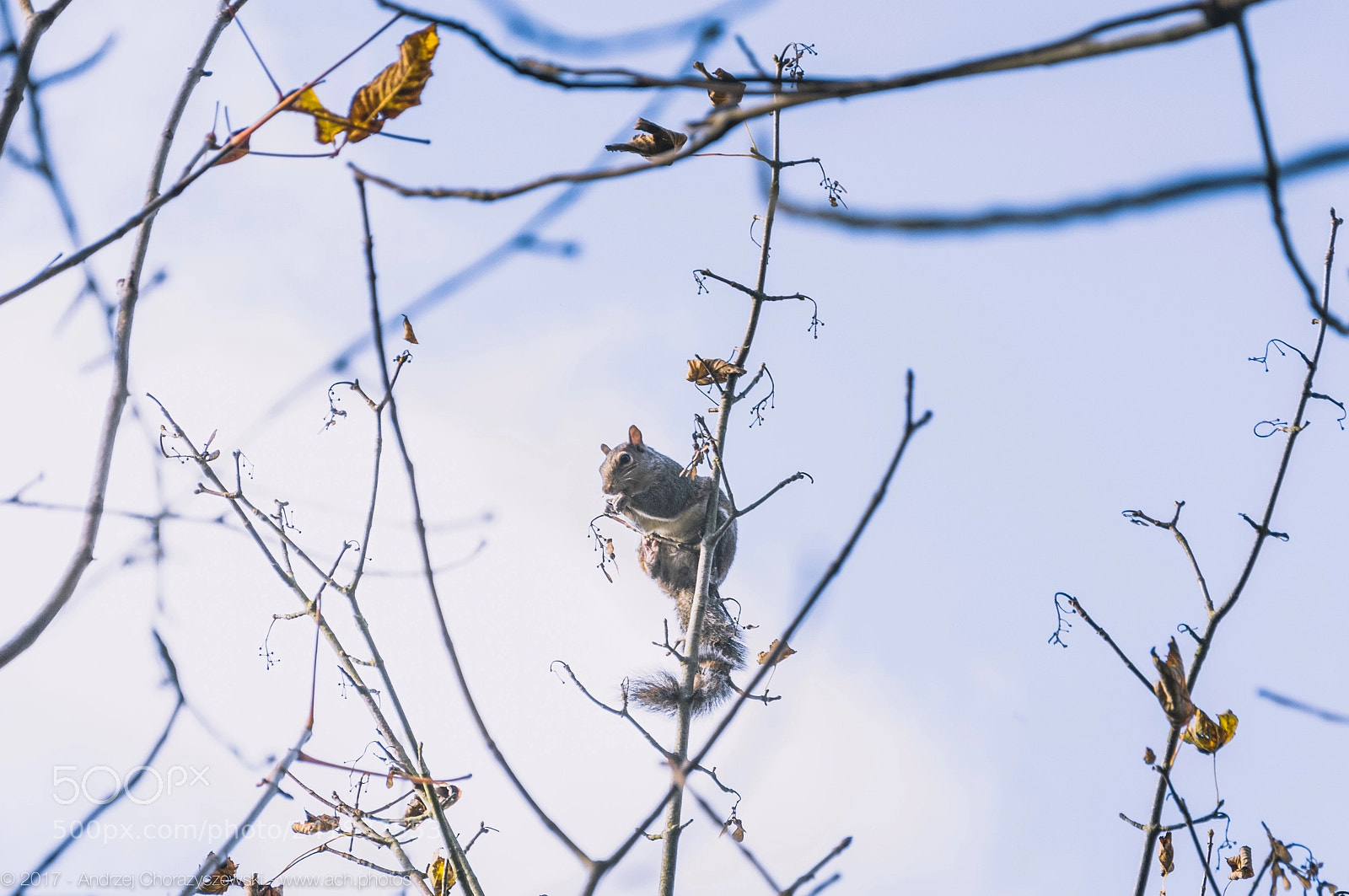 Nikon D90 sample photo. Newbridge farm and house photography