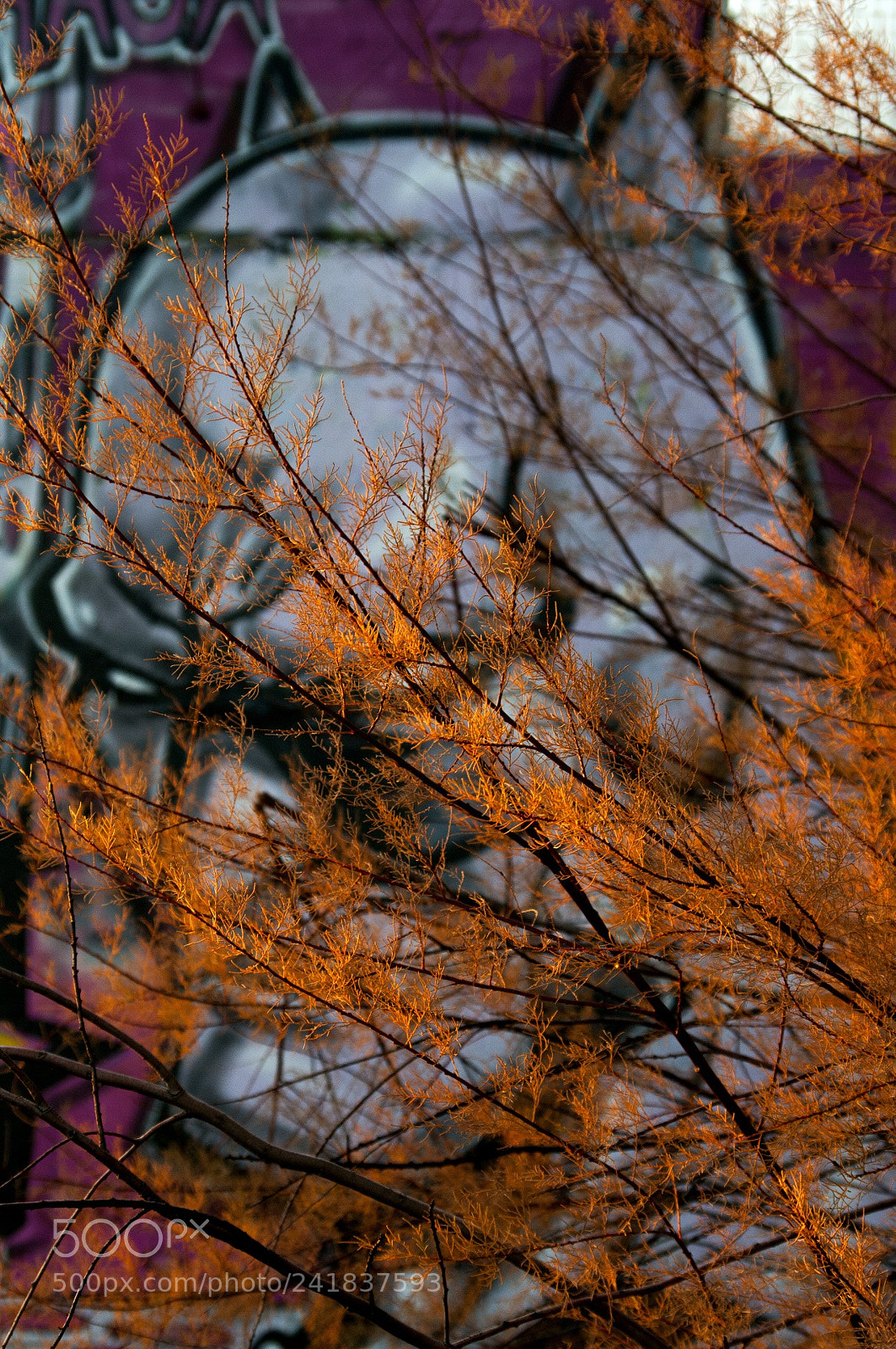 Pentax K20D sample photo. Portrait 3 photography