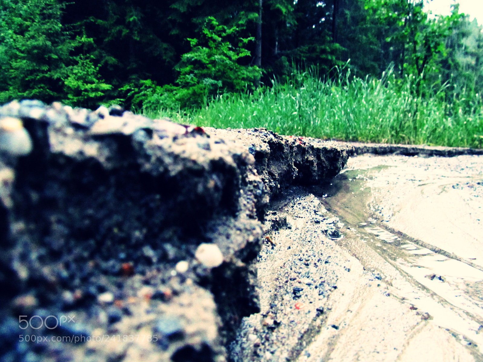 Canon PowerShot SX150 IS sample photo. 9955551773.jpg photography