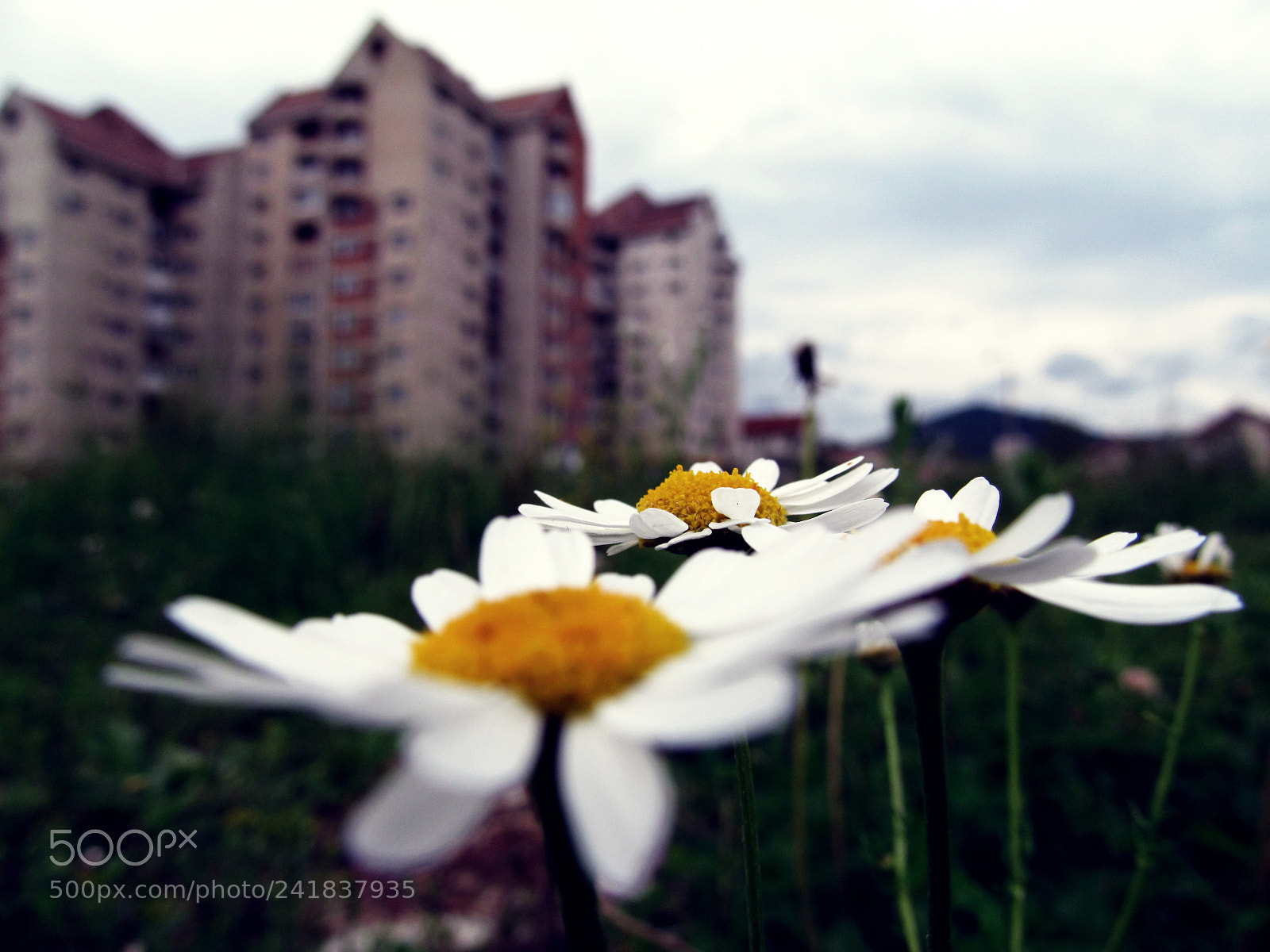 Canon PowerShot SX150 IS sample photo. 9955405034.jpg photography