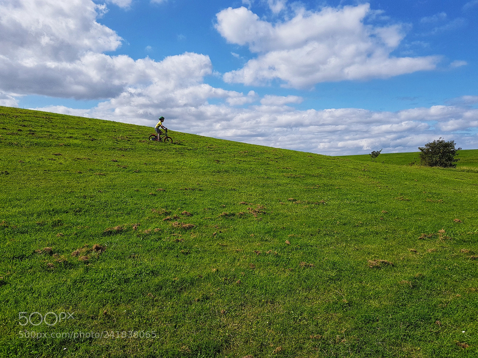 Samsung Galaxy S8 sample photo. Windows xp son photography