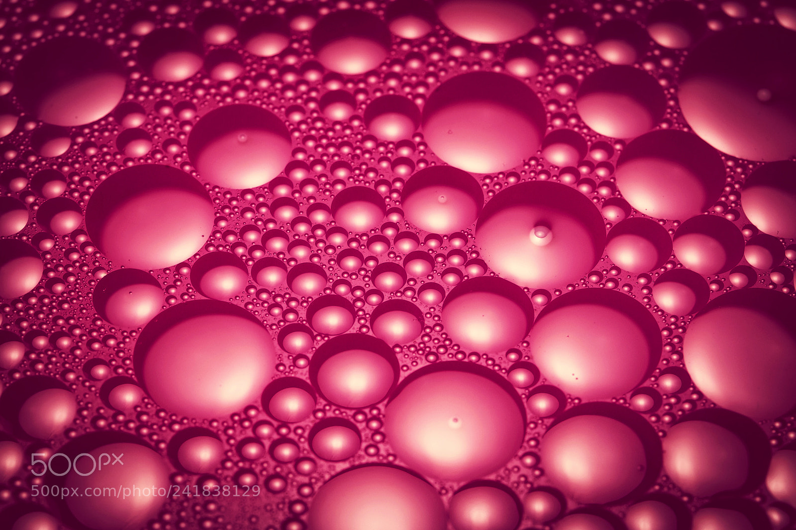Nikon D5500 sample photo. Round purple oil droplets photography