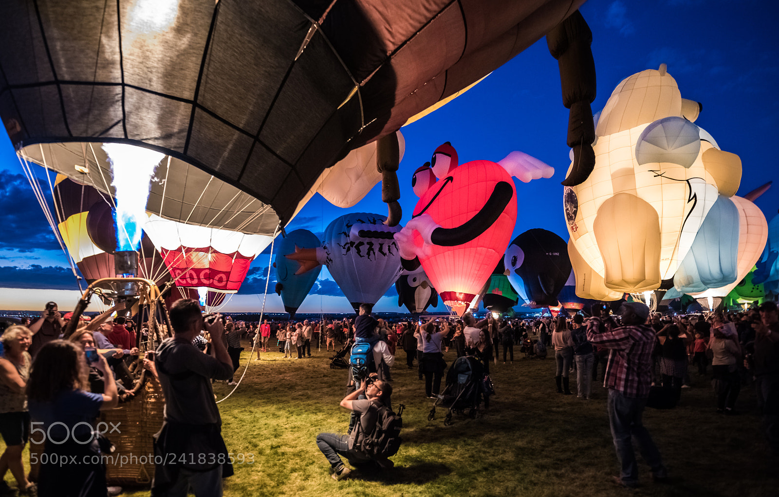 Nikon D810 sample photo. Photographers everywhere at the photography