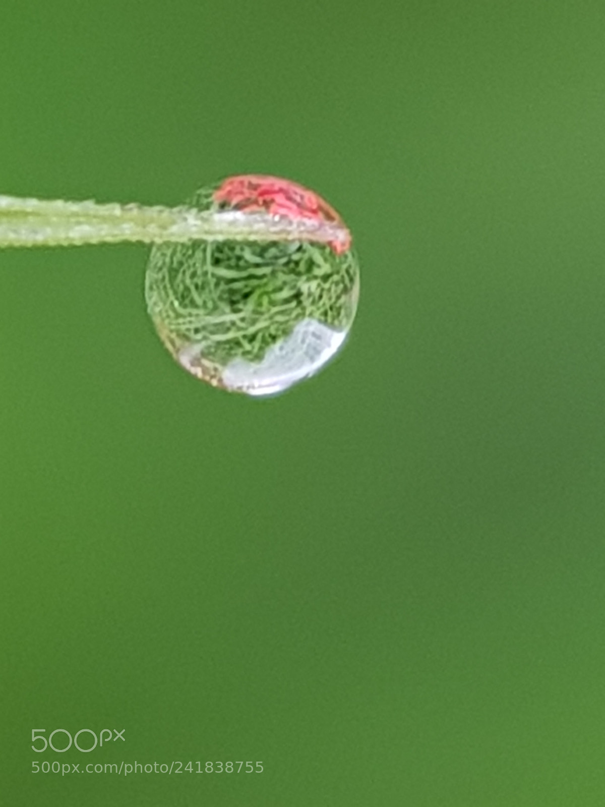 Samsung Galaxy S8 sample photo. Water droplets photography