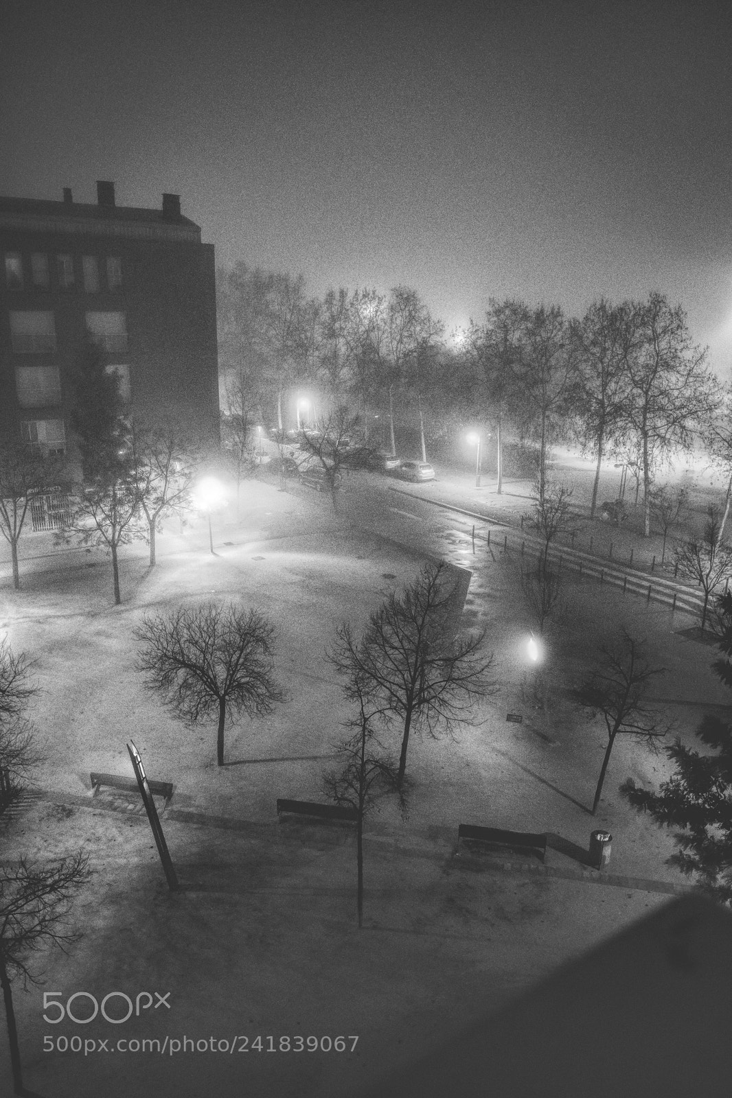 Fujifilm X-T2 sample photo. Fog light at early photography