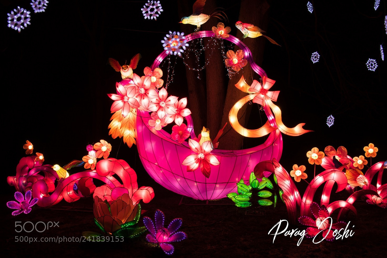 Nikon D810 sample photo. Magical lantern - basket photography