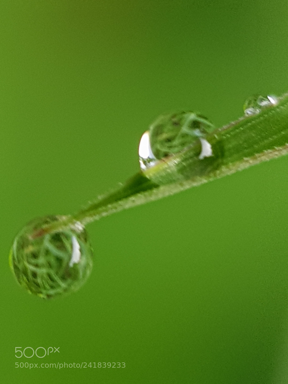 Samsung Galaxy S8 sample photo. Water droplets 2 photography