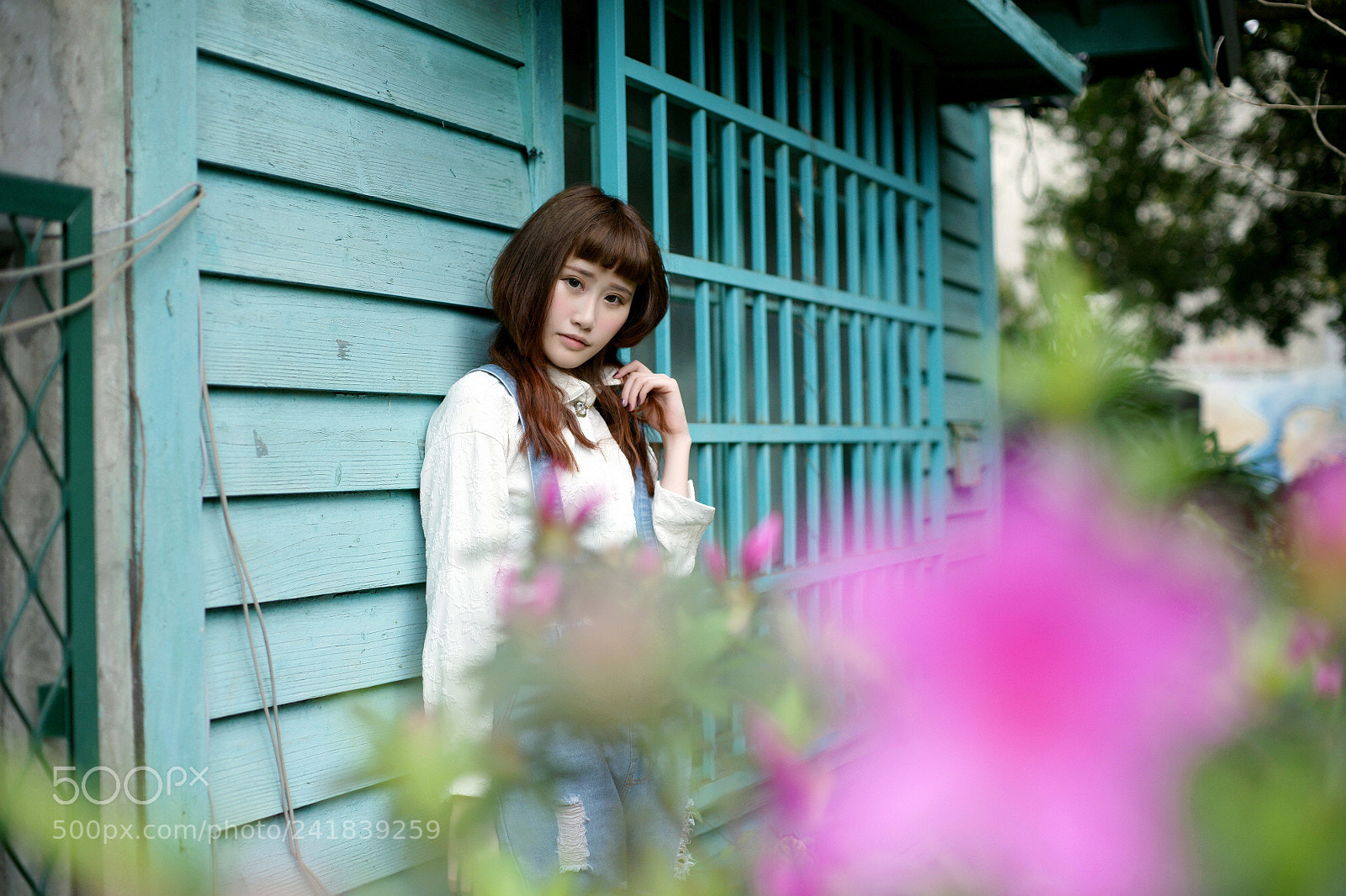 Sony Alpha DSLR-A850 sample photo. 紅 photography