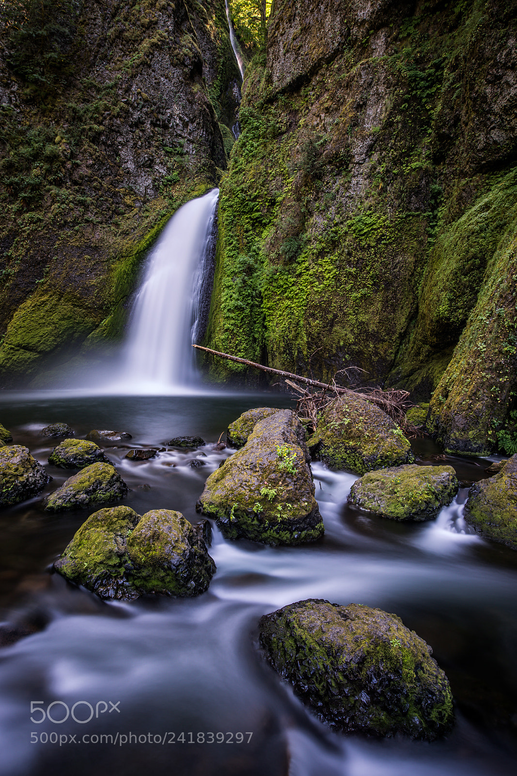 Nikon D810 sample photo. Wahclella falls - oregon photography
