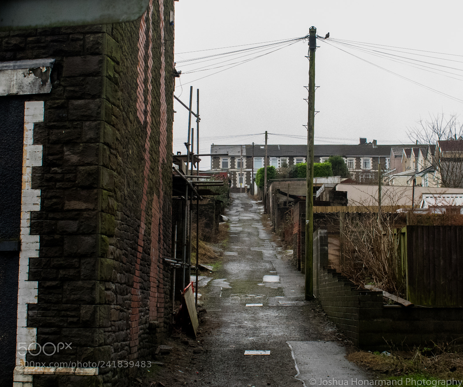 Nikon D3400 sample photo. Bargoed photos photography