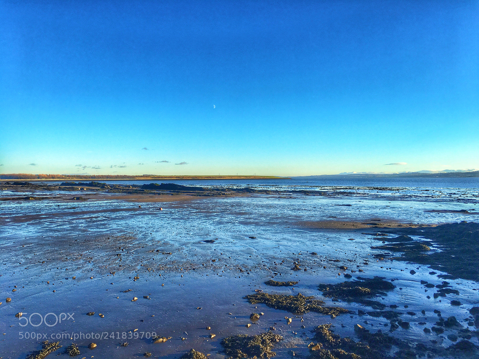 Apple iPhone 6s sample photo. The forth of firth photography