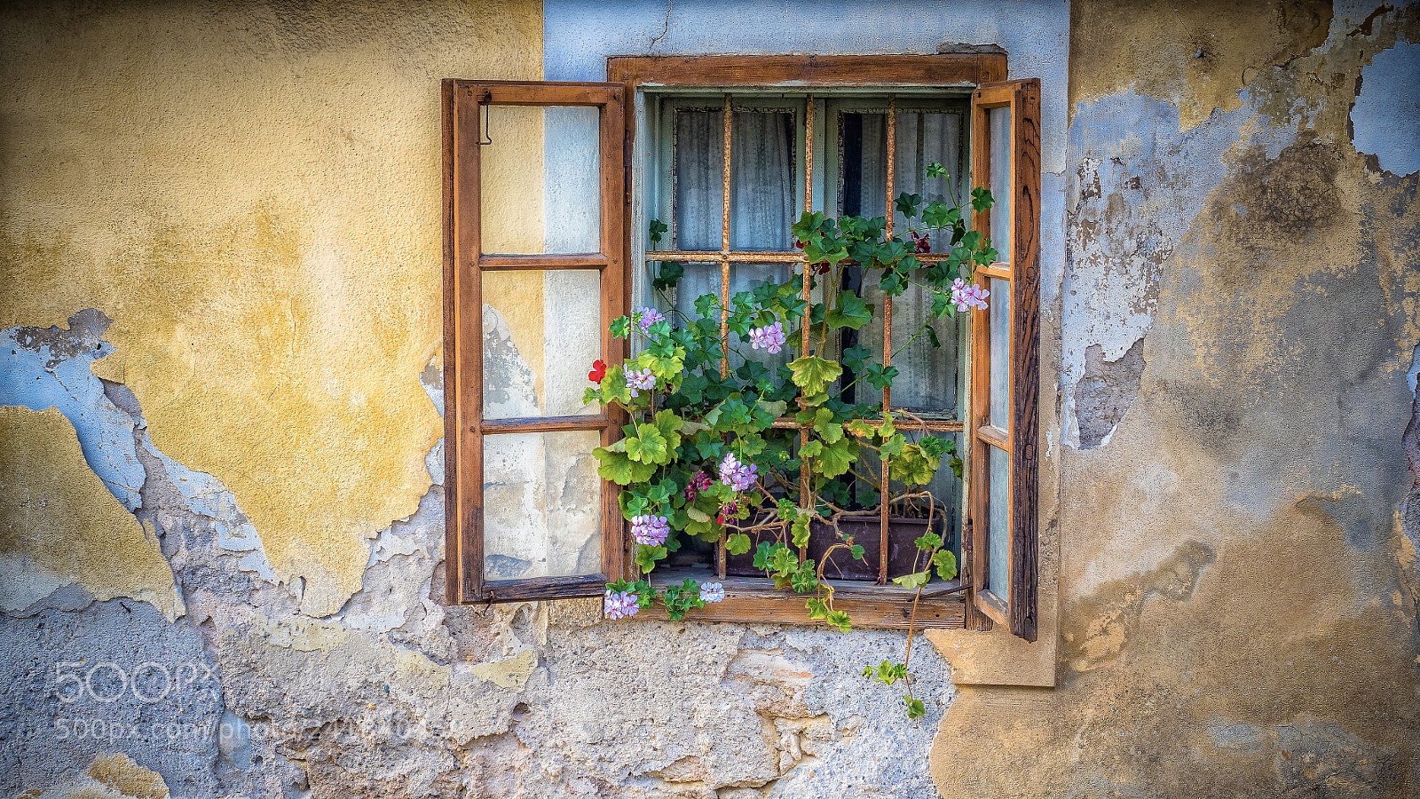 Olympus OM-D E-M5 II sample photo. Window colors photography