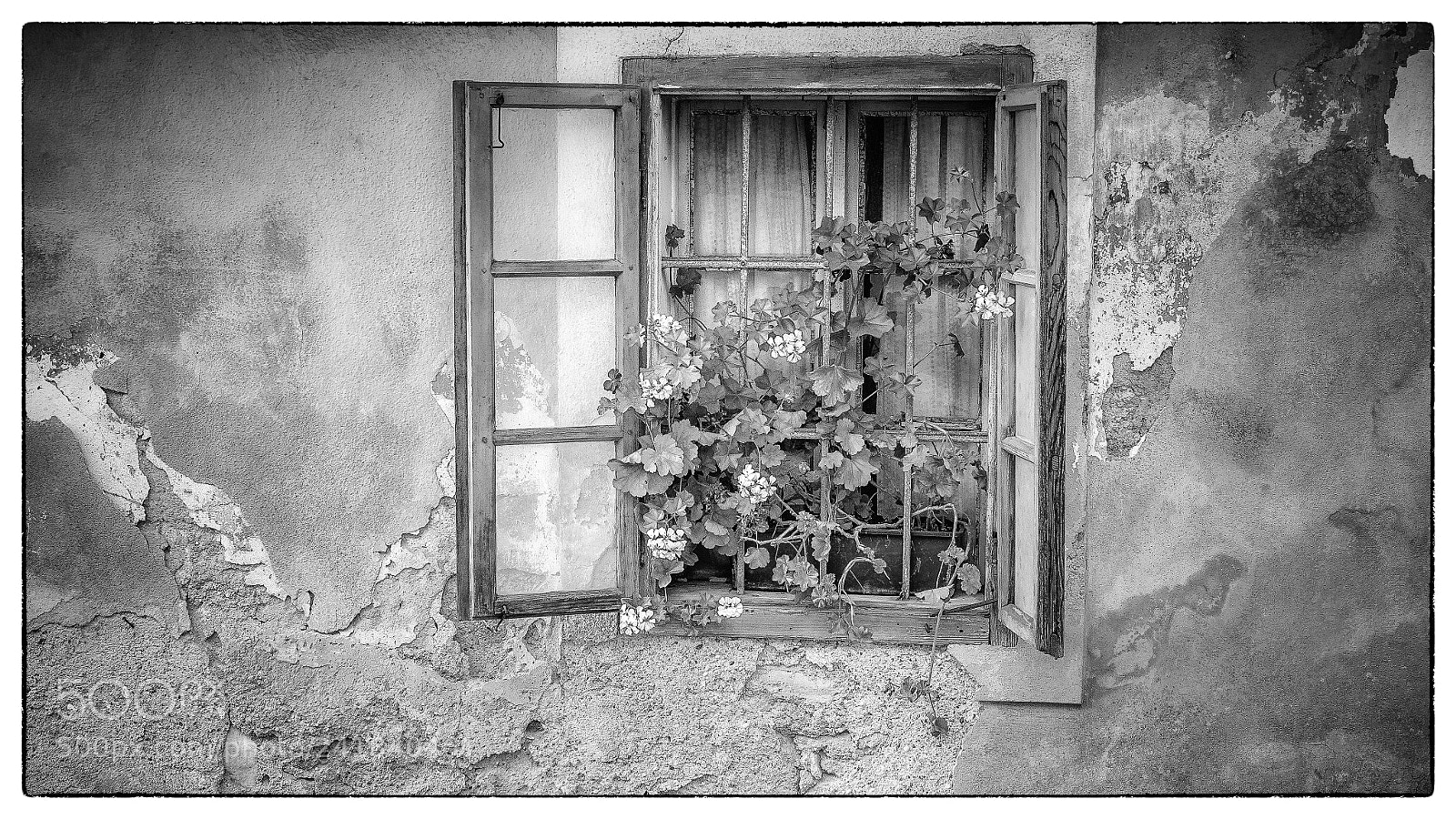 Olympus OM-D E-M5 II sample photo. Window b/w photography