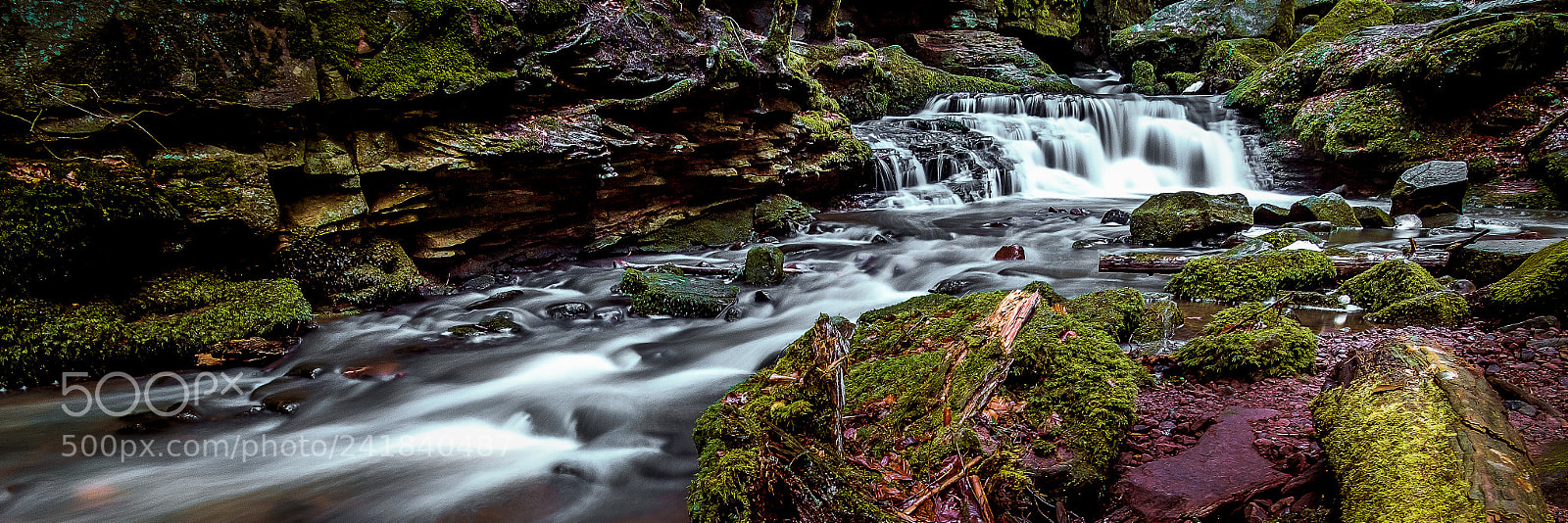 Fujifilm X-Pro2 sample photo. Deep in the forest photography