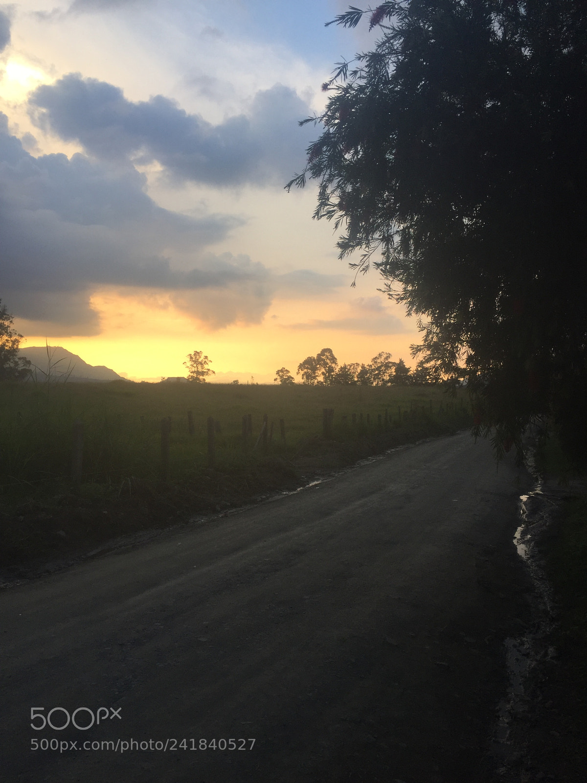 Apple iPhone 6 sample photo. Caminando en pacho photography