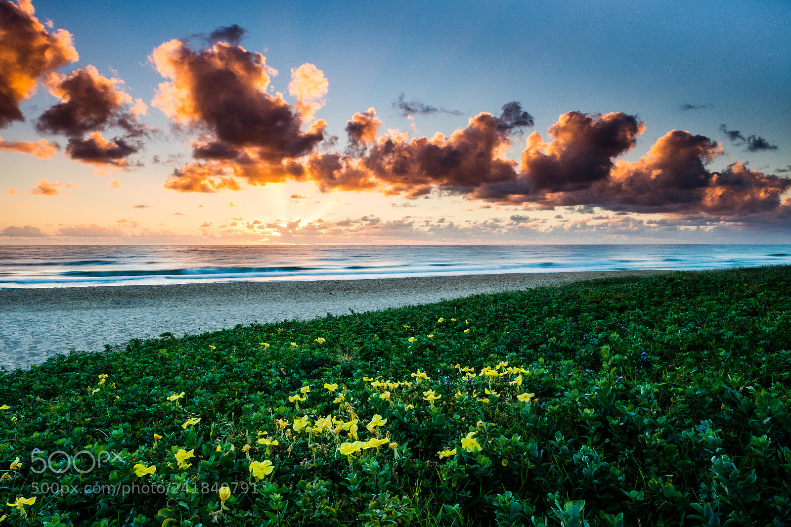 Olympus OM-D E-M1 Mark II sample photo. Sunshine beach sunrise photography
