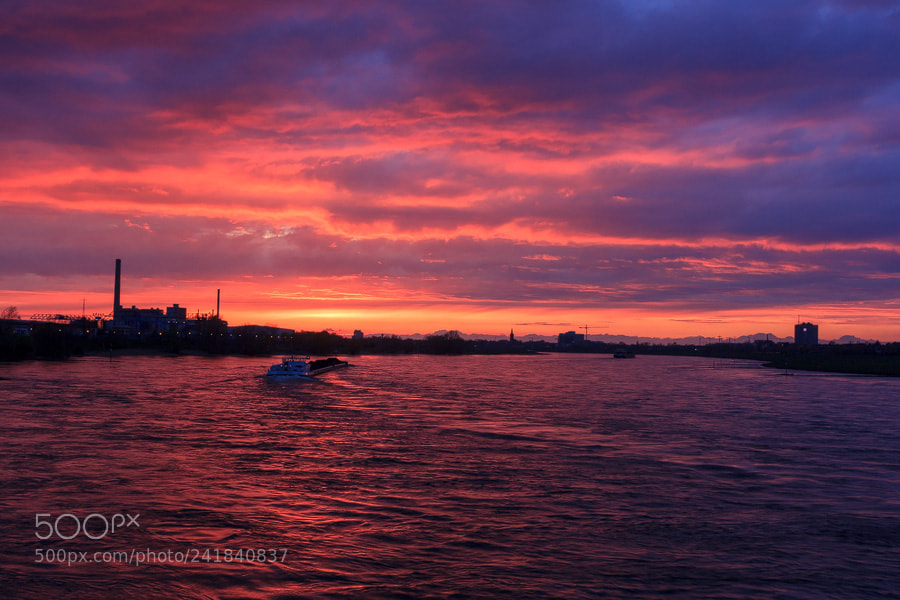 Canon EOS 60D sample photo. Rheinfahrt photography