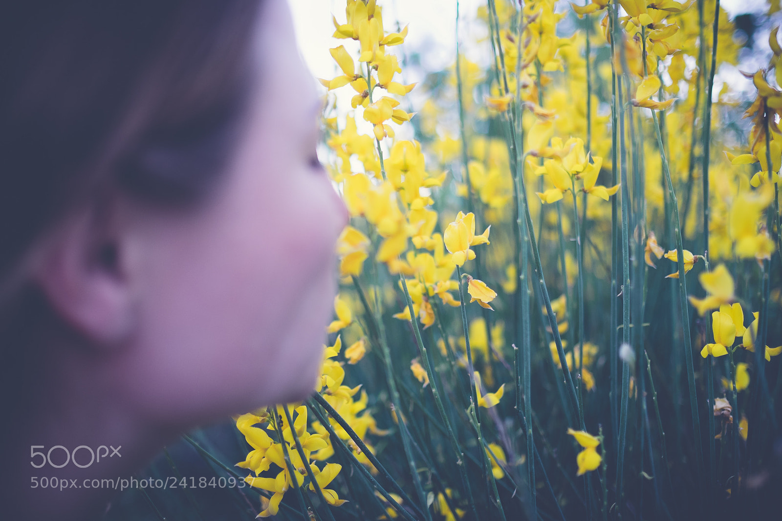 Fujifilm X-E2 sample photo. She loves flowers photography