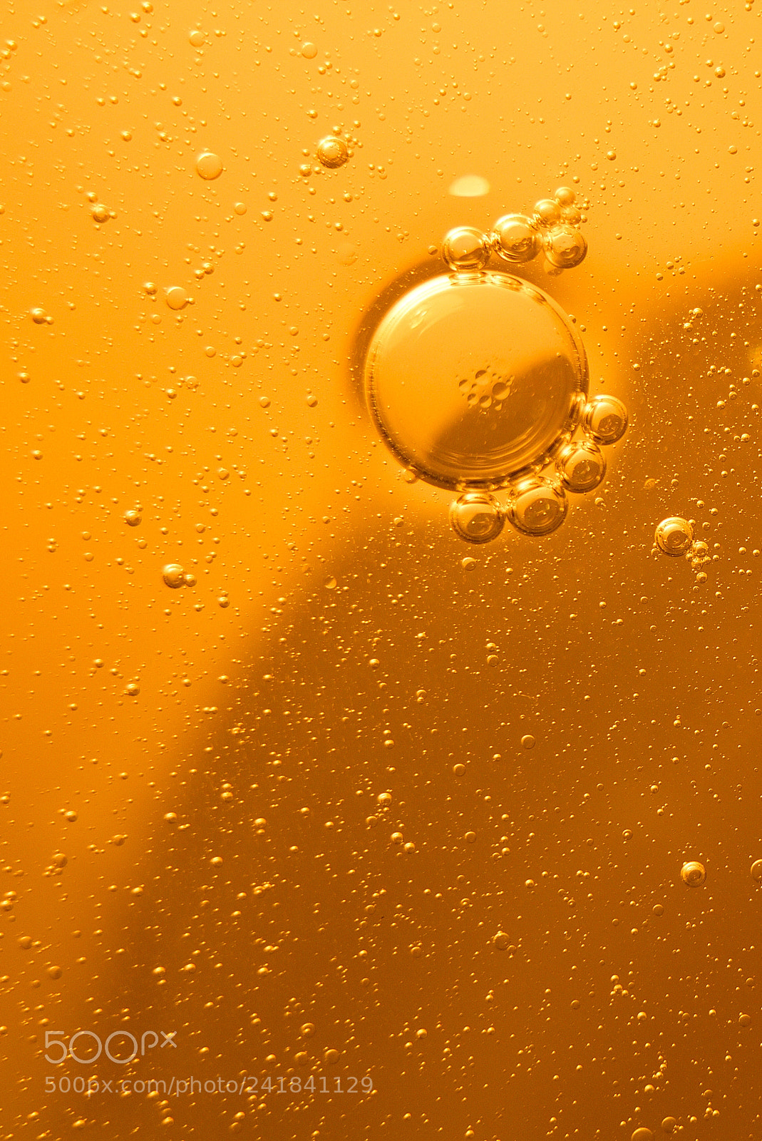 Canon EOS 550D (EOS Rebel T2i / EOS Kiss X4) sample photo. Oil bubble photography
