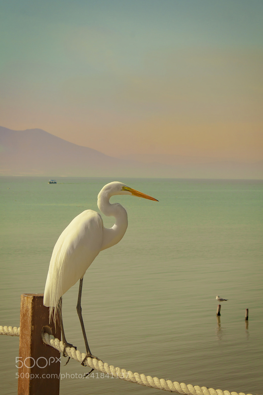Canon EOS 700D (EOS Rebel T5i / EOS Kiss X7i) sample photo. Garza photography