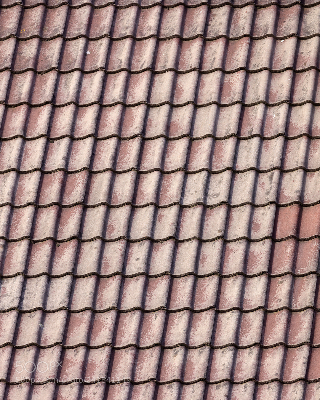 Canon EOS 5DS R sample photo. Roofie photography