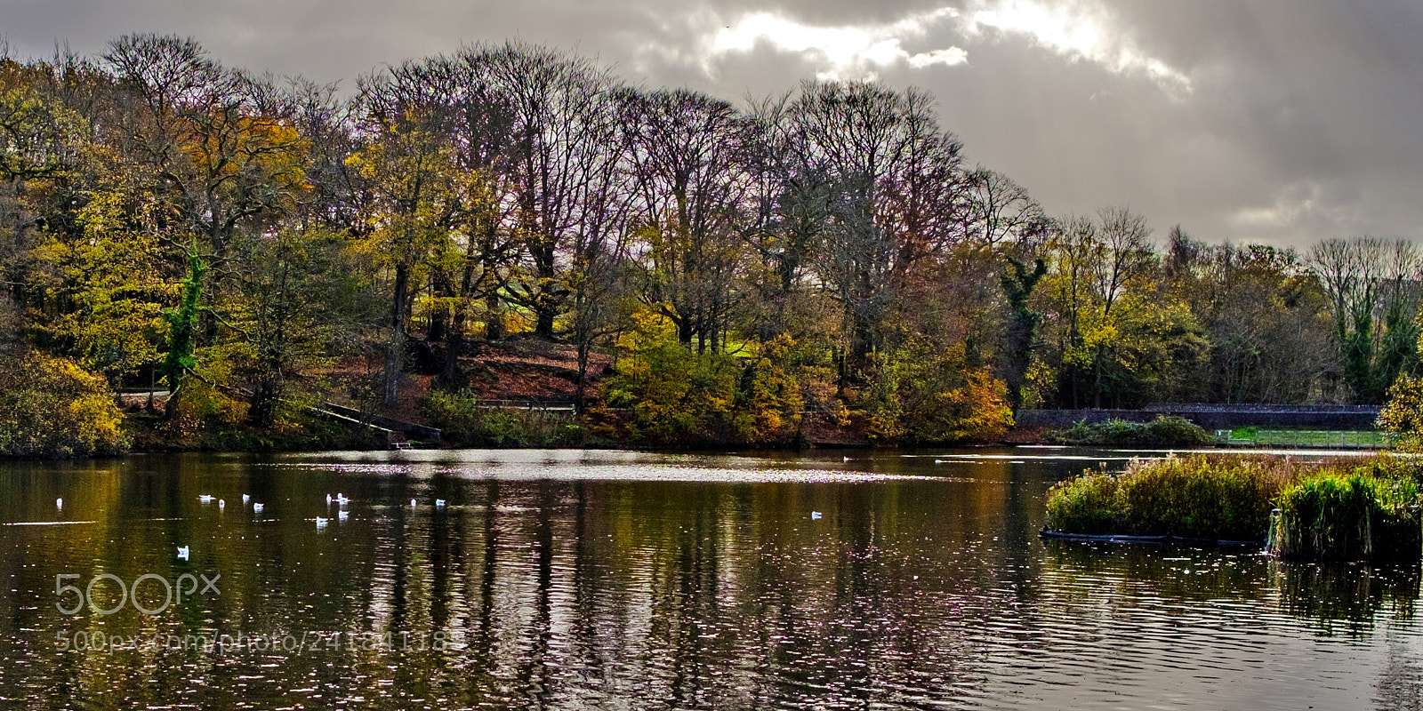Fujifilm X-Pro2 sample photo. Second pond photography
