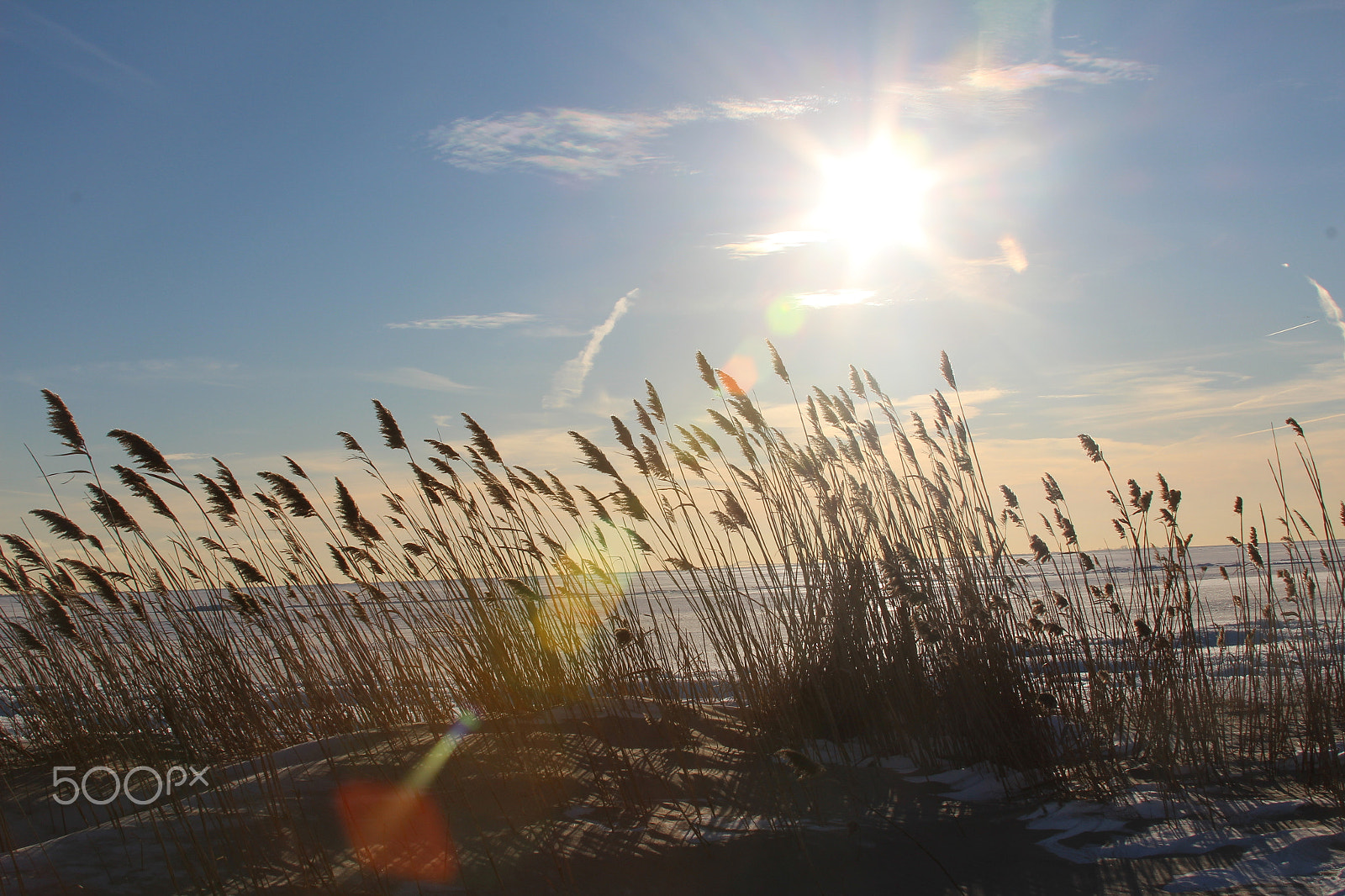 Canon EF 28-135mm F3.5-5.6 IS USM sample photo. Great south bay, long island photography