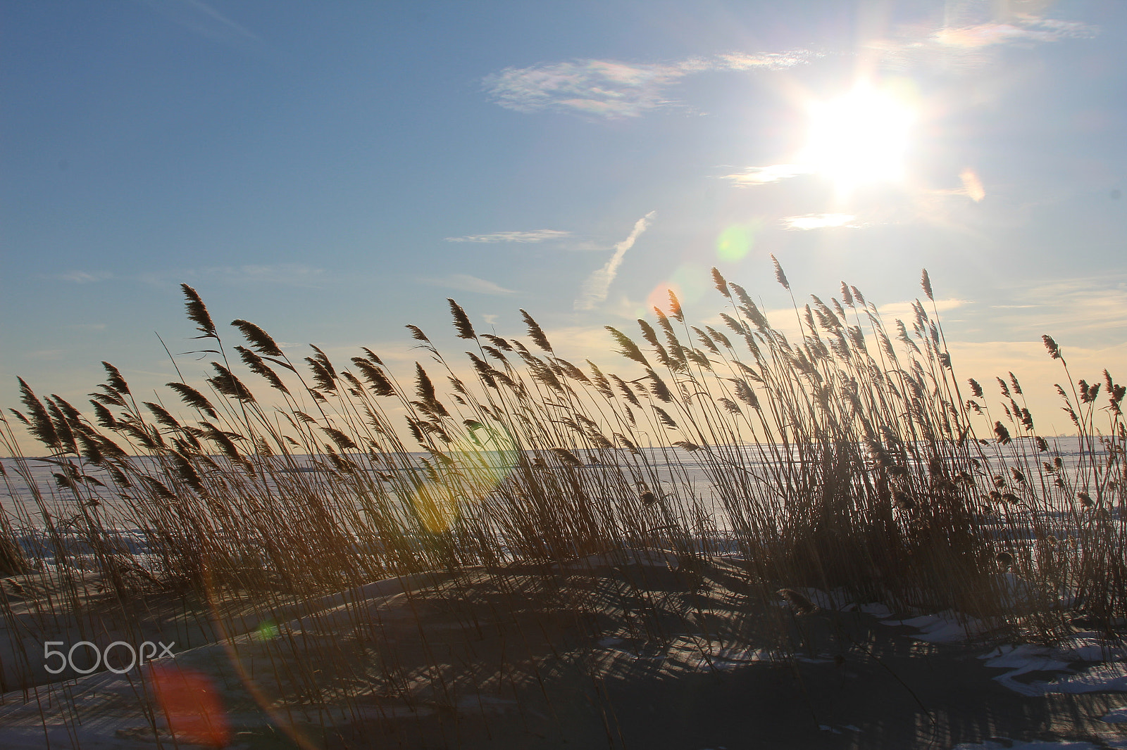 Canon EF 28-135mm F3.5-5.6 IS USM sample photo. Great south bay, long island photography
