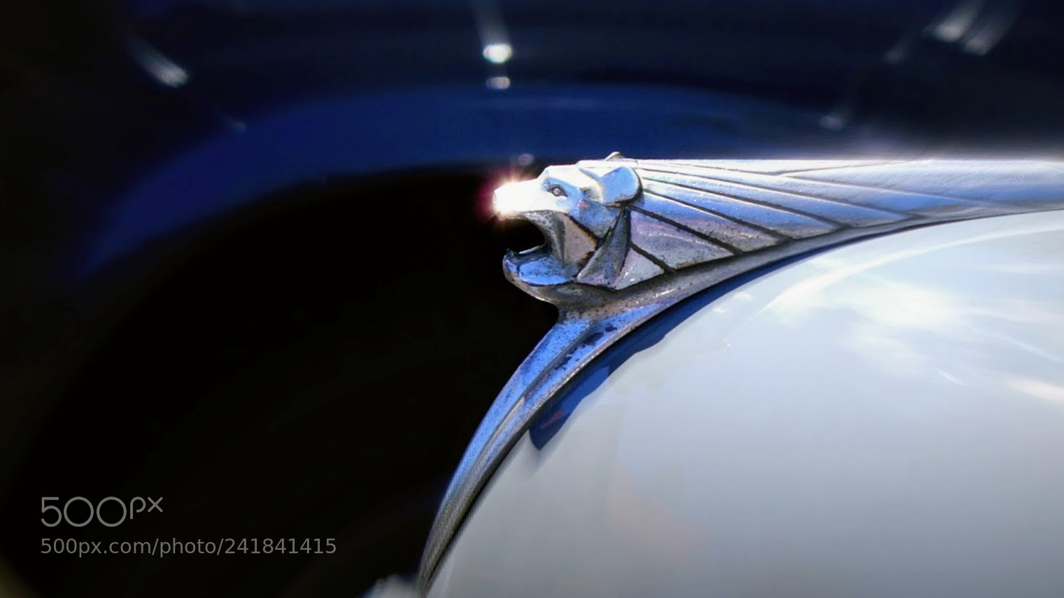 Sony DT 18-70mm F3.5-5.6 sample photo. Jag photography