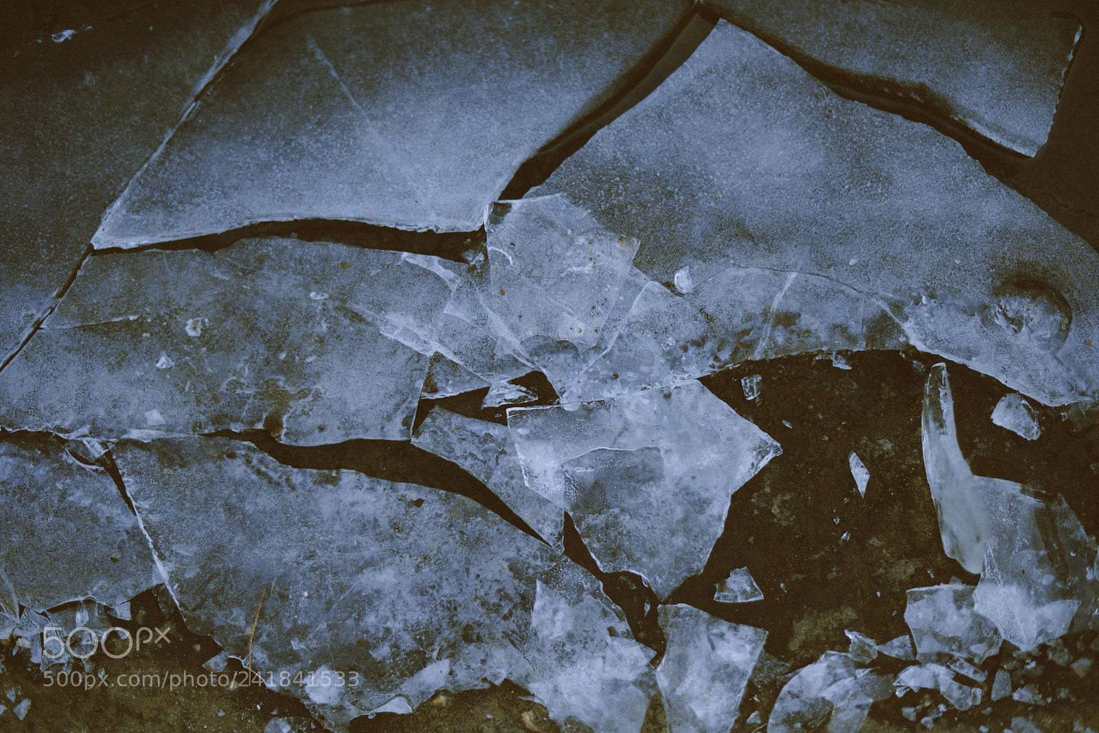 Nikon D600 sample photo. Textures photography